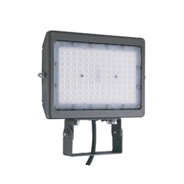 50W Flood Light